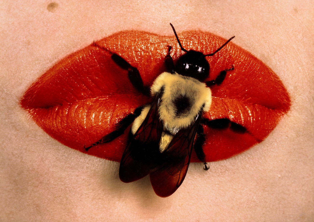 Irving Penn, Bee on Lips, New York